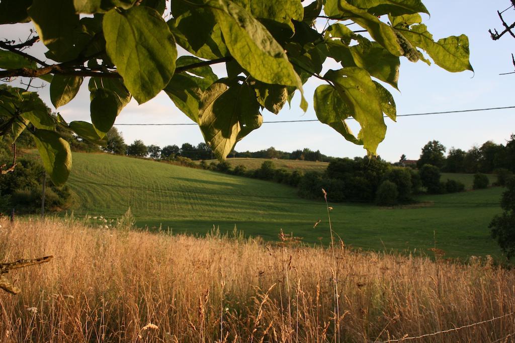 Domaine De Romefort แซ็งต์-เลโอนาร์-เดอ-โนบลาต์ ห้อง รูปภาพ