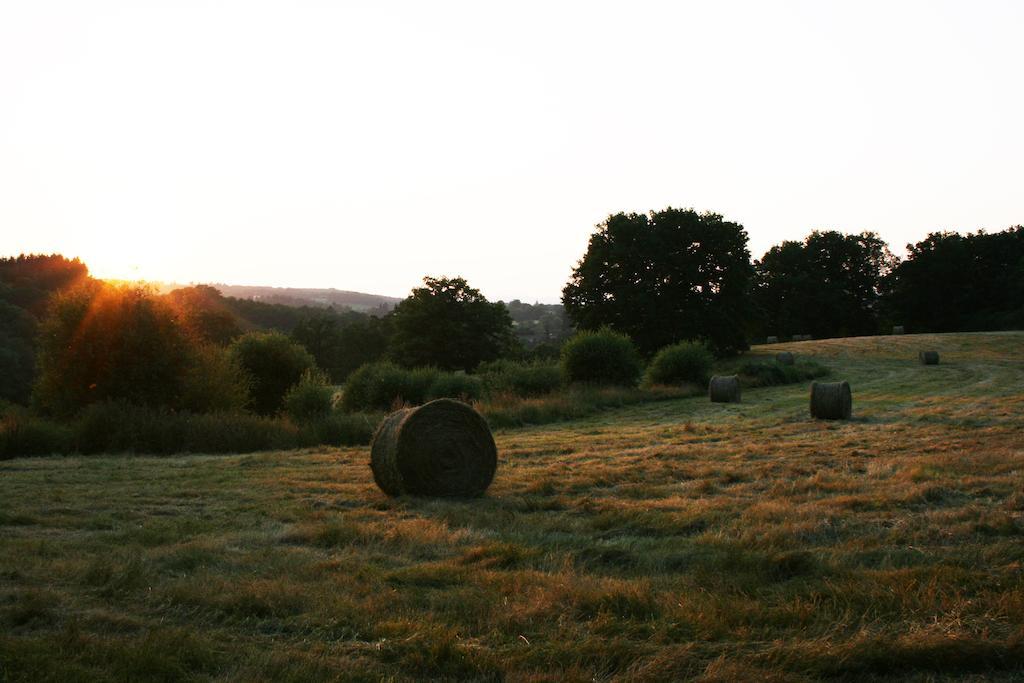 Domaine De Romefort แซ็งต์-เลโอนาร์-เดอ-โนบลาต์ ห้อง รูปภาพ