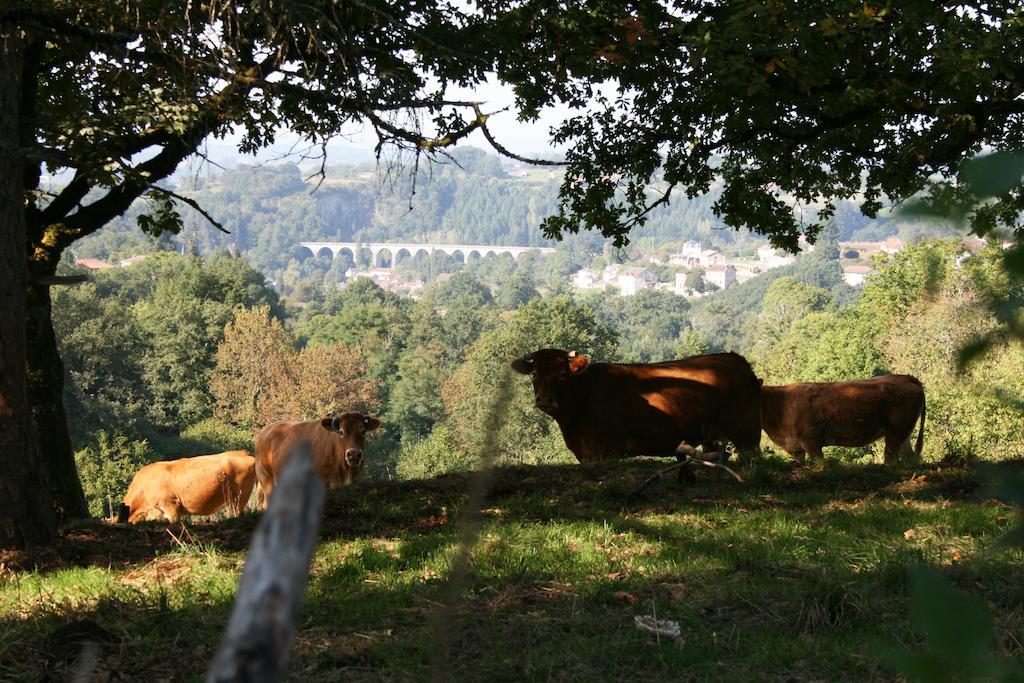 Domaine De Romefort แซ็งต์-เลโอนาร์-เดอ-โนบลาต์ ห้อง รูปภาพ