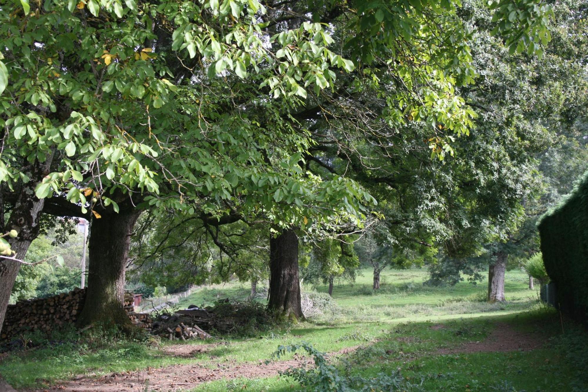 Domaine De Romefort แซ็งต์-เลโอนาร์-เดอ-โนบลาต์ ภายนอก รูปภาพ