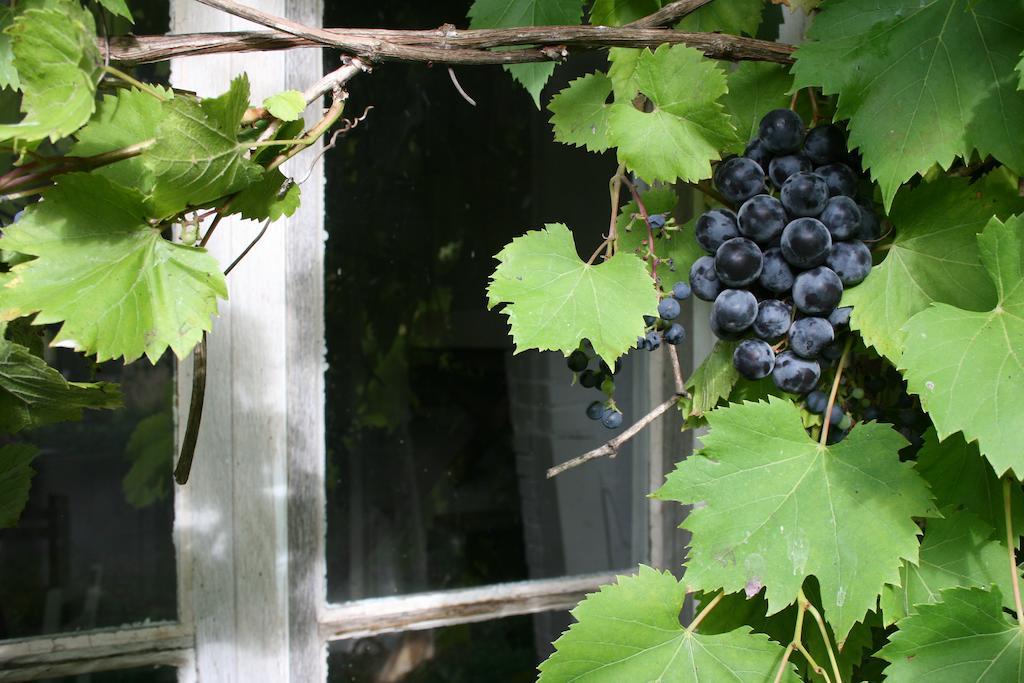 Domaine De Romefort แซ็งต์-เลโอนาร์-เดอ-โนบลาต์ ห้อง รูปภาพ